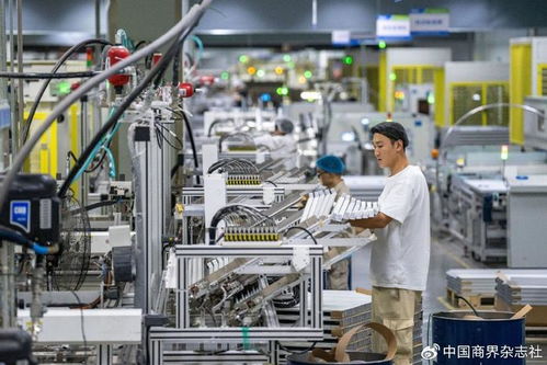 第四季度经济金融展望 恢复向好趋势不变