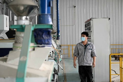 产业焕新推进乡村振兴 直击小岗村新发展
